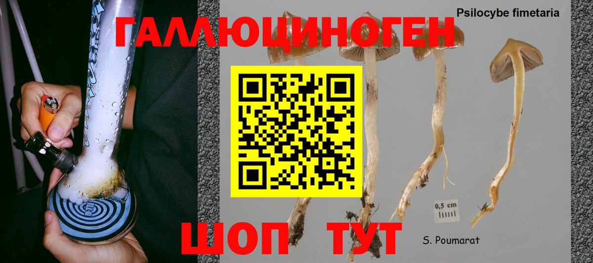 Галлюциногенные грибы мицелий Партизанск